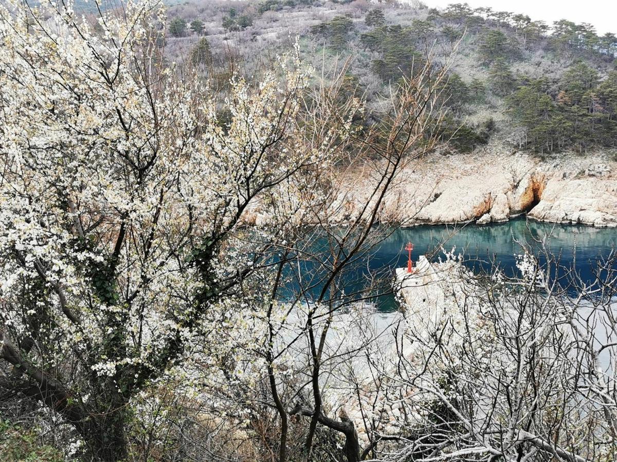 Vila Verbana Apartments Vrbnik Zewnętrze zdjęcie